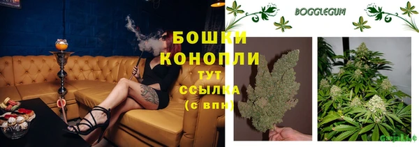 стаф Кинешма