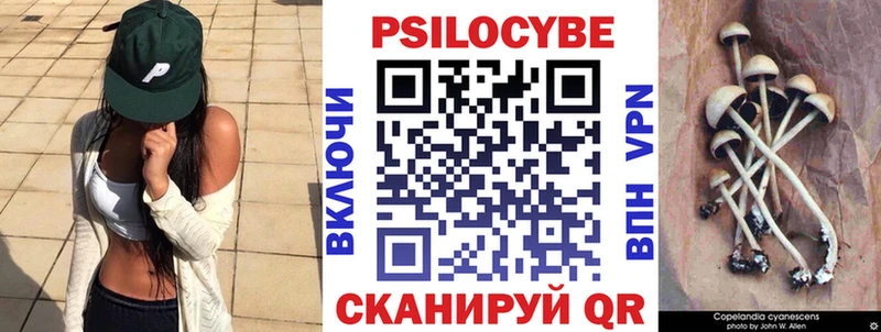 Псилоцибиновые грибы MAGIC MUSHROOMS  Купить закладки  Димитровград 